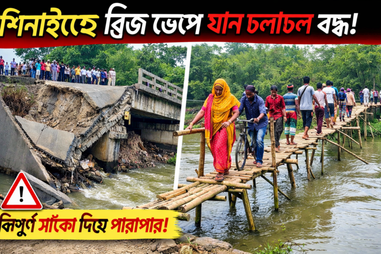 ঝিনাইদহে ব্রিজ ভাঙা: ৯ মাসেও নির্মাণ হয়নি প্রতিস্থাপন, বাঁশের সাঁকোয় ঝুঁকি নিয়ে পারাপার